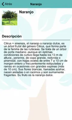 Arboles Frutales android App screenshot 1